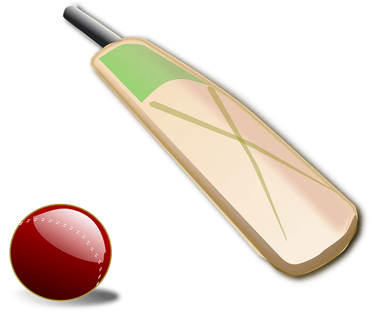 What Has Happened To Basic Cricket Intelligence?