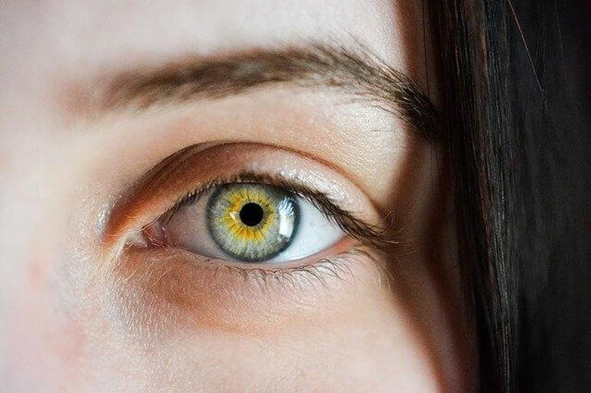 Retinal Implants Can Give Artificial Vision To Blind