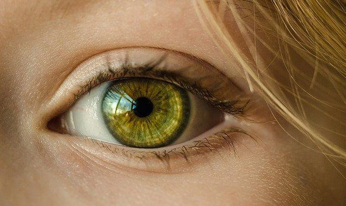 People With Vision Impairment Are At A Higher Risk Of All-Cause Mortality
