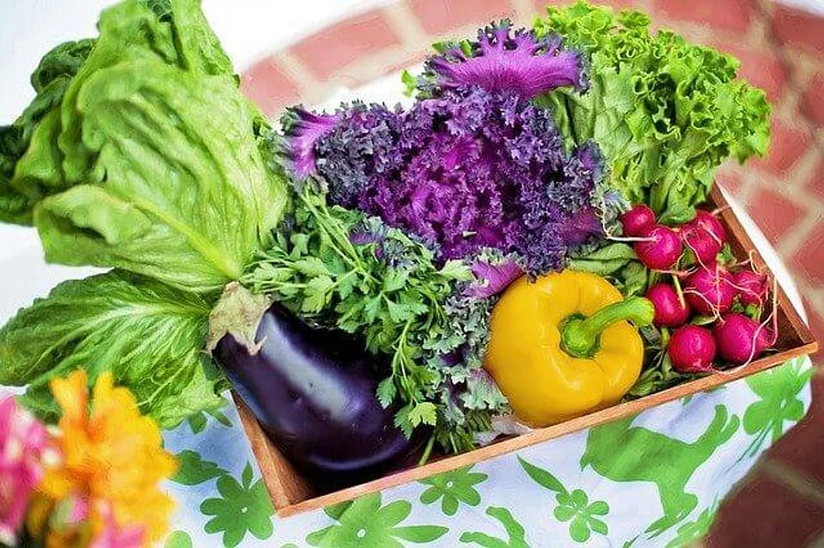 Can Probiotics Help Improve Nutrient Absorption In The Malnourished?