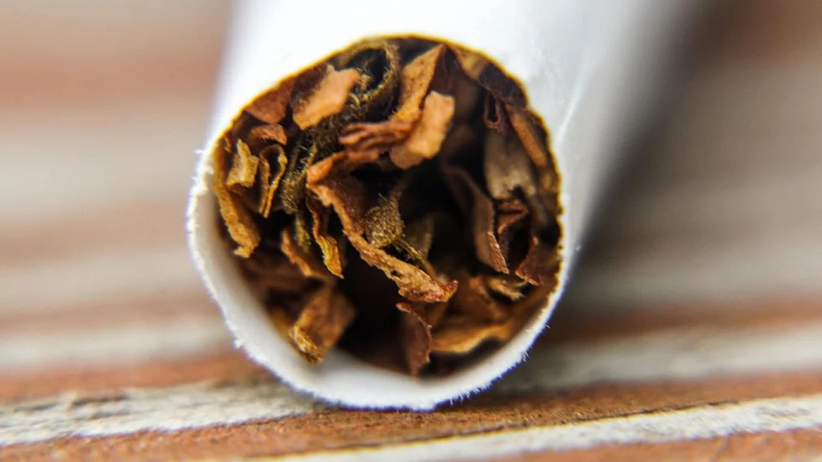 Raising Taxes on Tobacco Generates Revenue And Saves Lives