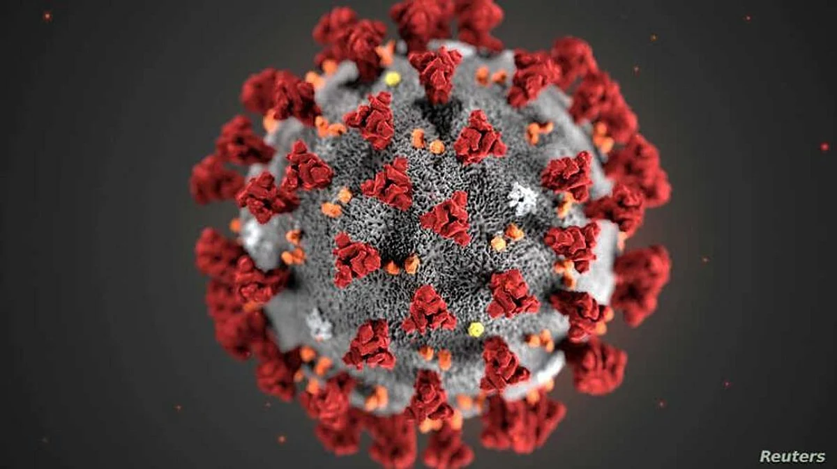 Latest Study Suggests Digestive Tract Bacteria Affects Severity of COVID infections in The Body