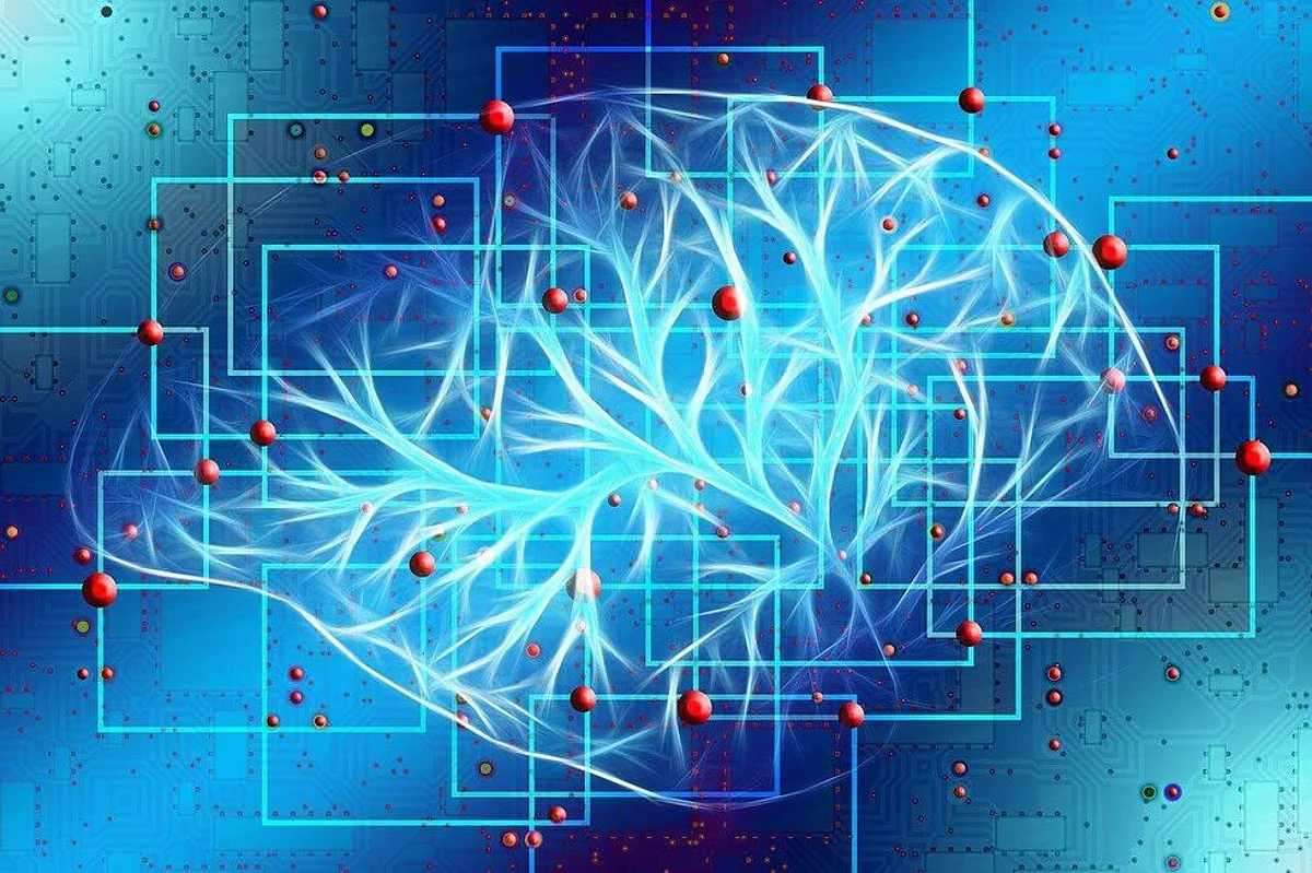 Areas of Brain Promoting Patience Releasing Serotonin