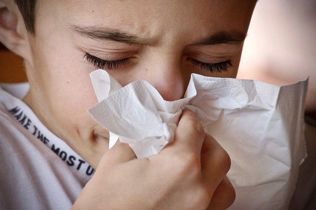 Influenza Risk to Kids and Pregnant Women in Pandemic: WHO