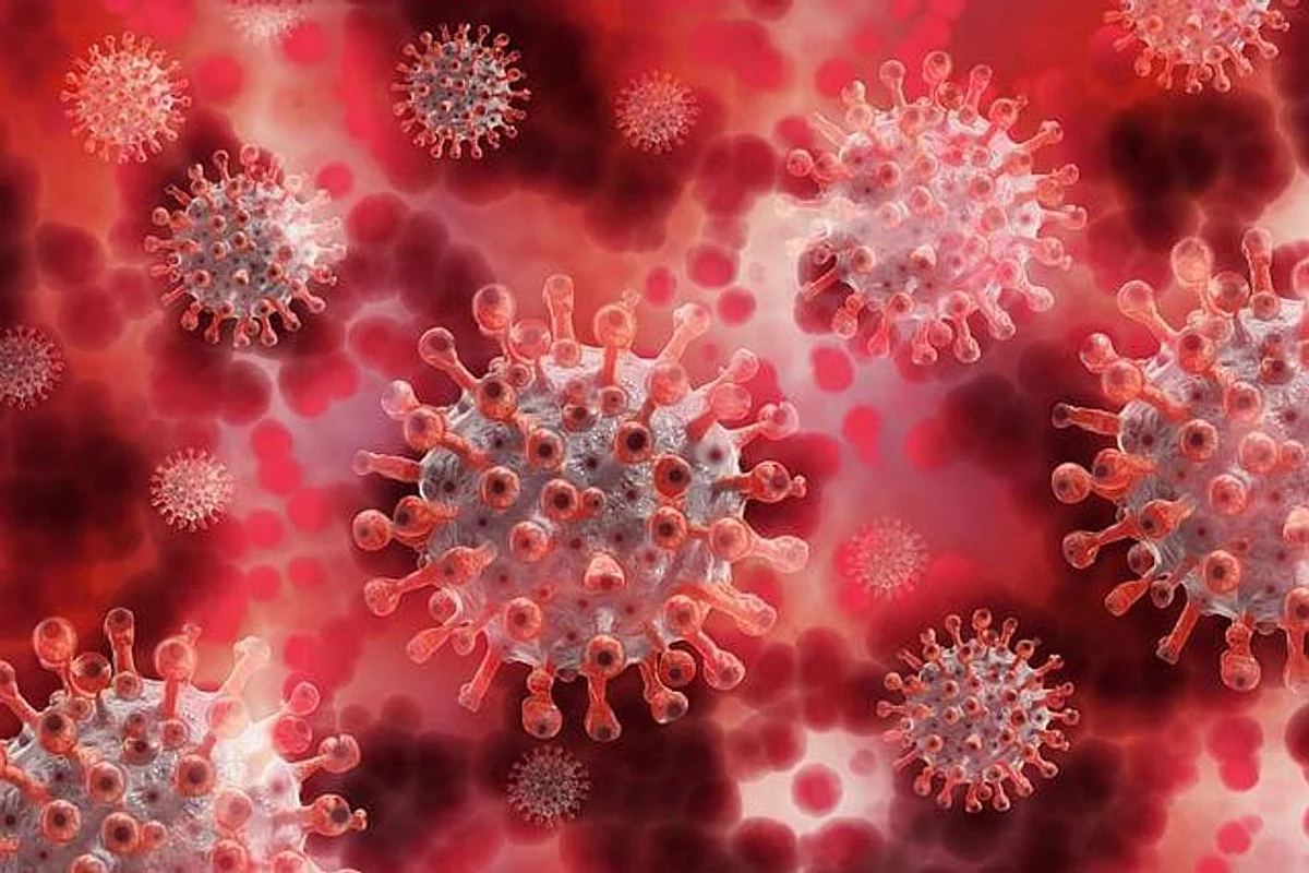 Future Pandemics To Emerge Often, Spread More Rapidly: Experts