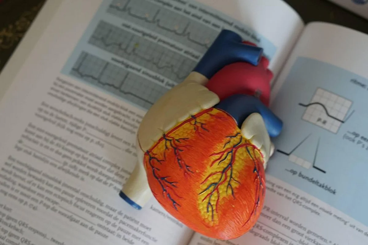 New Model Predicts Risks of Developing Irregular Heartbeat