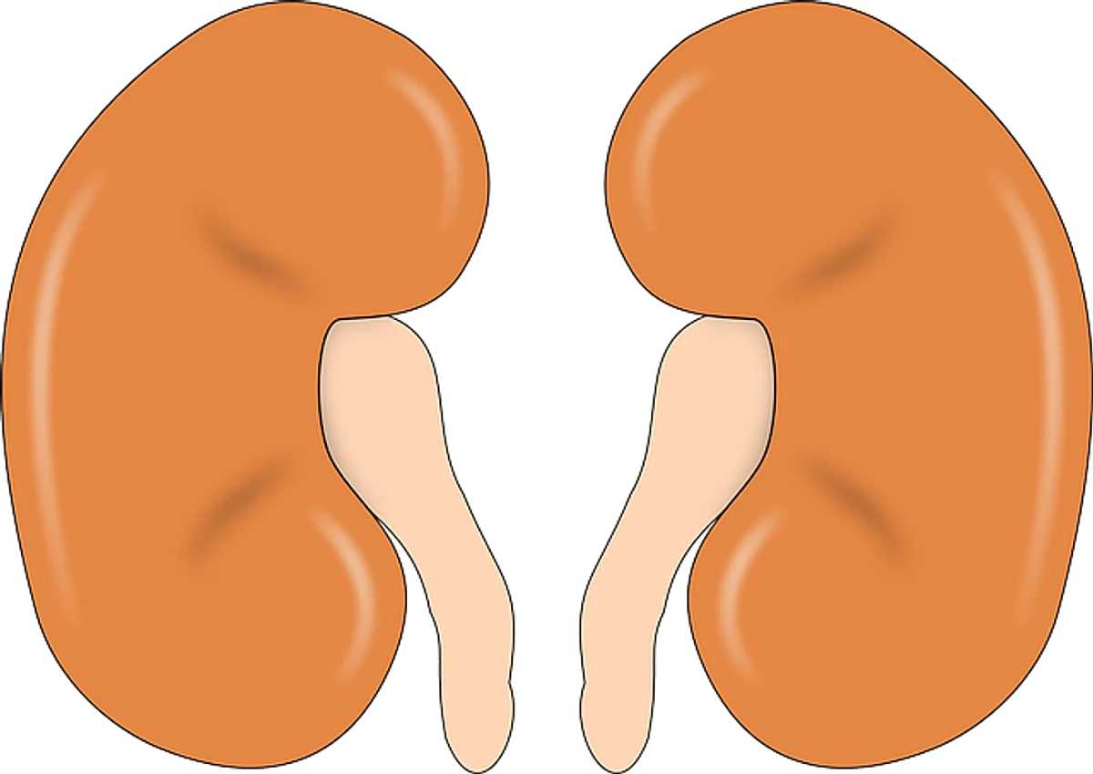Higher Mortality Risk for COVID Patients with Kidney Diseases