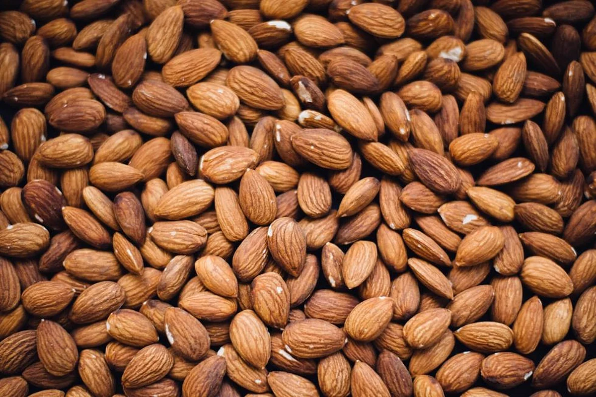 Consuming Almonds Daily Helps to Prevent Cardiovascular Diseases