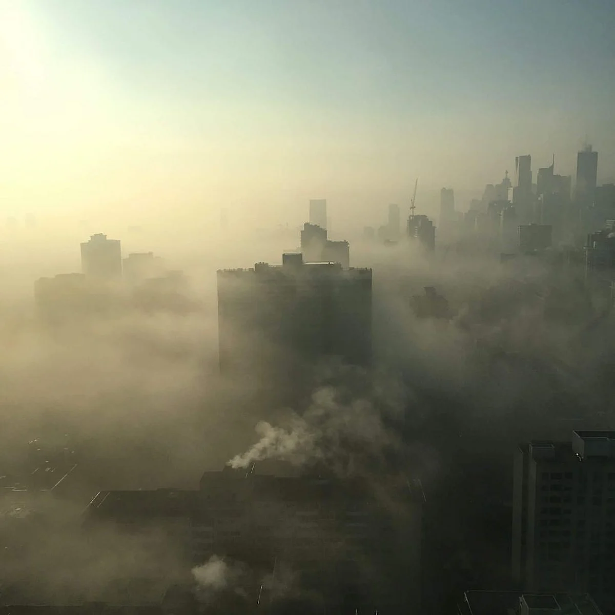 Lockdowns Prevented Many Deaths Caused by Air Pollution: Study