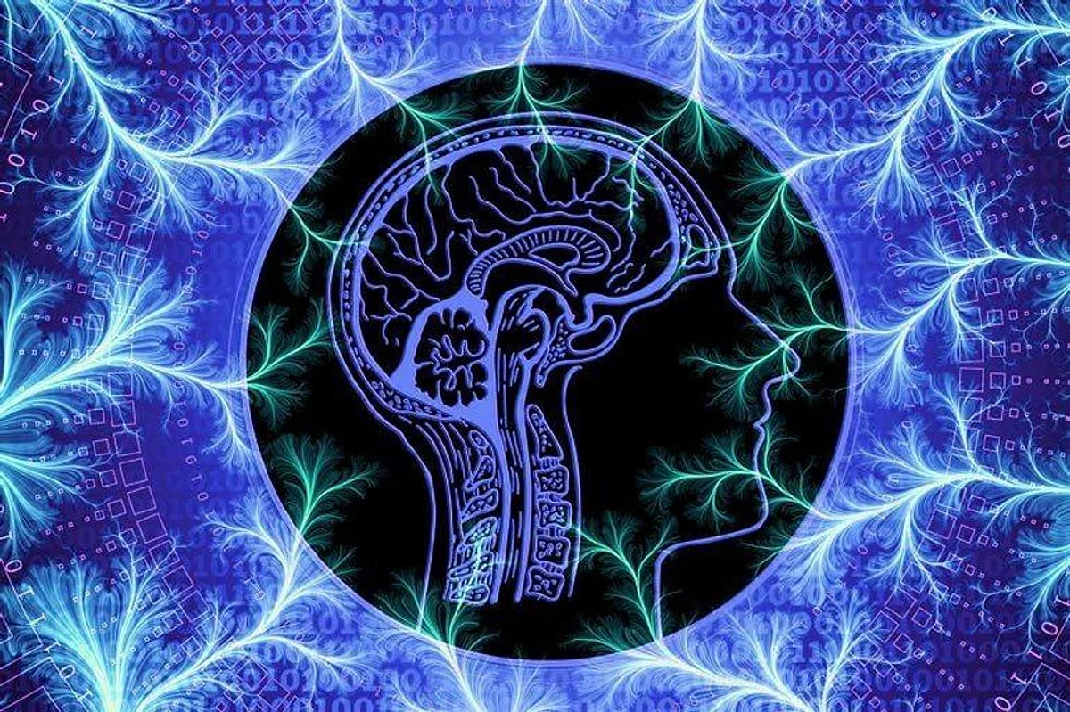 Aromatase: The Gene Which Regulates Sexual Behaviour in Men