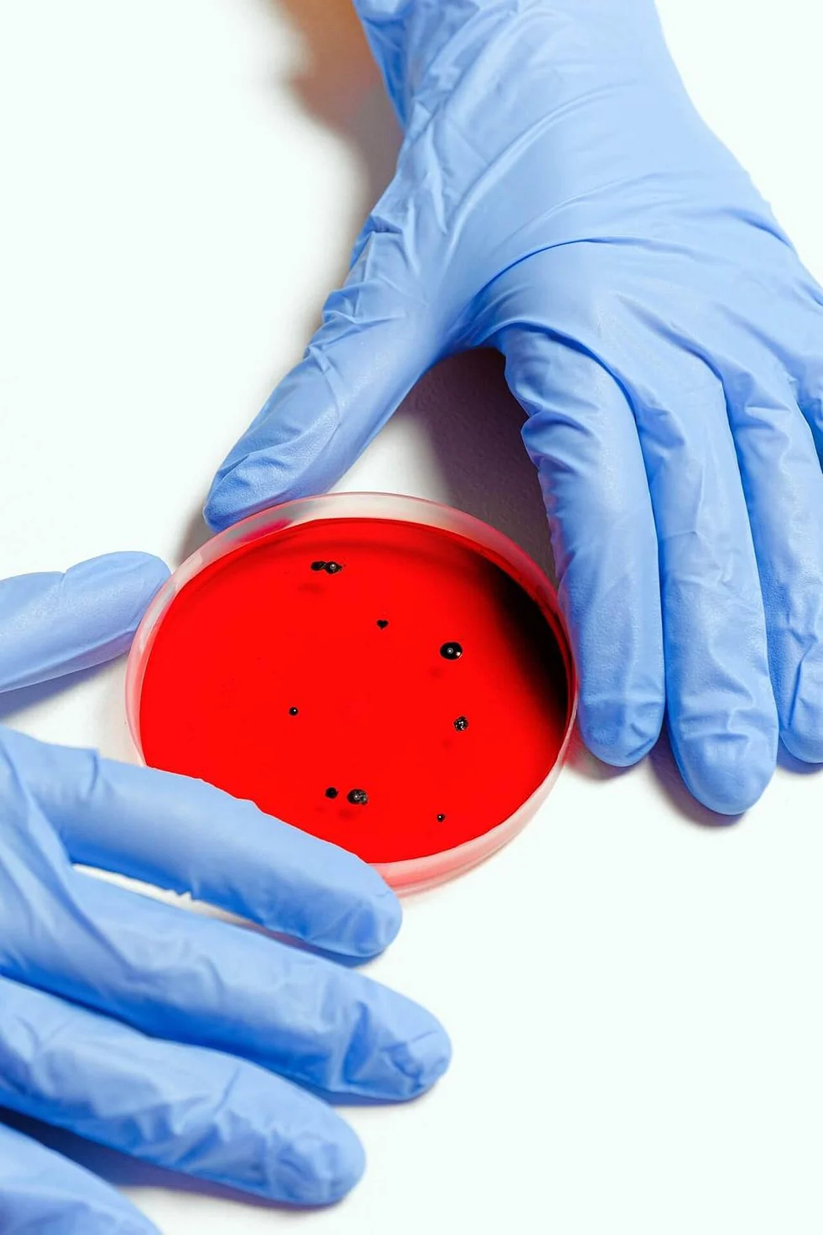 Viruses Play Key Evolutionary Role in Species’ Ability to Reproduce, Survive: Study