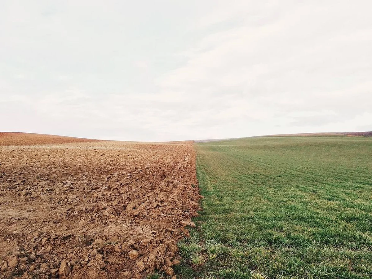Back to the Soil With Organic Farming