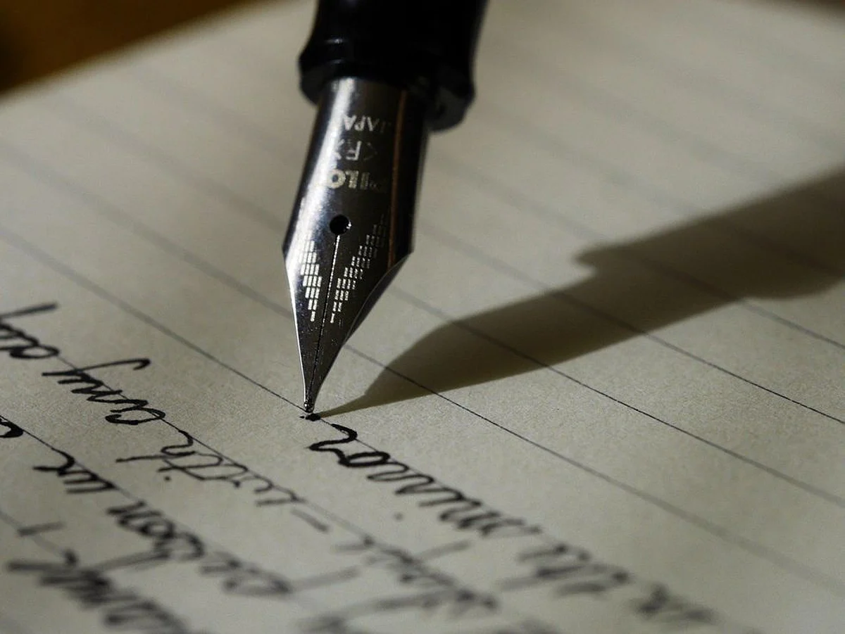 The Anatomy of an Essay: Why Every Element Counts