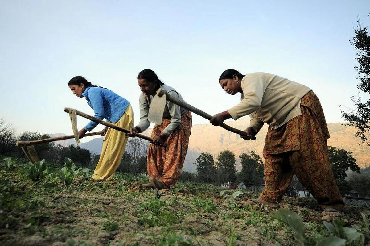 Indian Farmers’ Woes Amid Covid-19 Lockdown