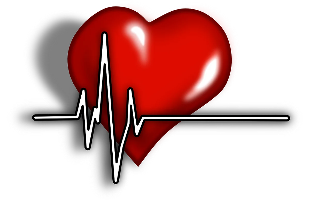 Here’s How Belly Fat Increases the Risk of Heart Attack