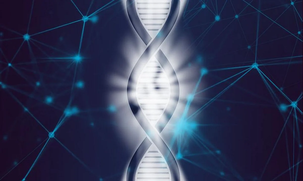 Artificial Intelligence Can Better Help Doctors To Recognize Cancer Cells