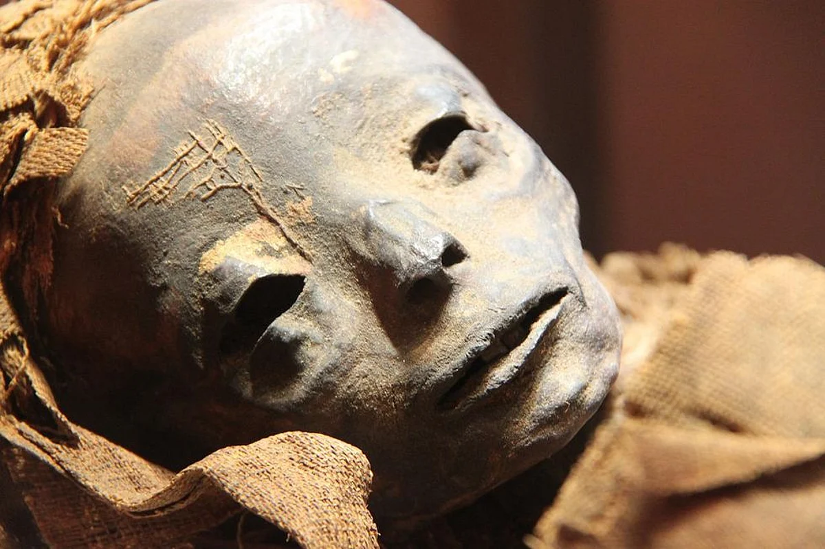 Sell Your Artefacts In Exhibitions Organized By Ministry of Culture