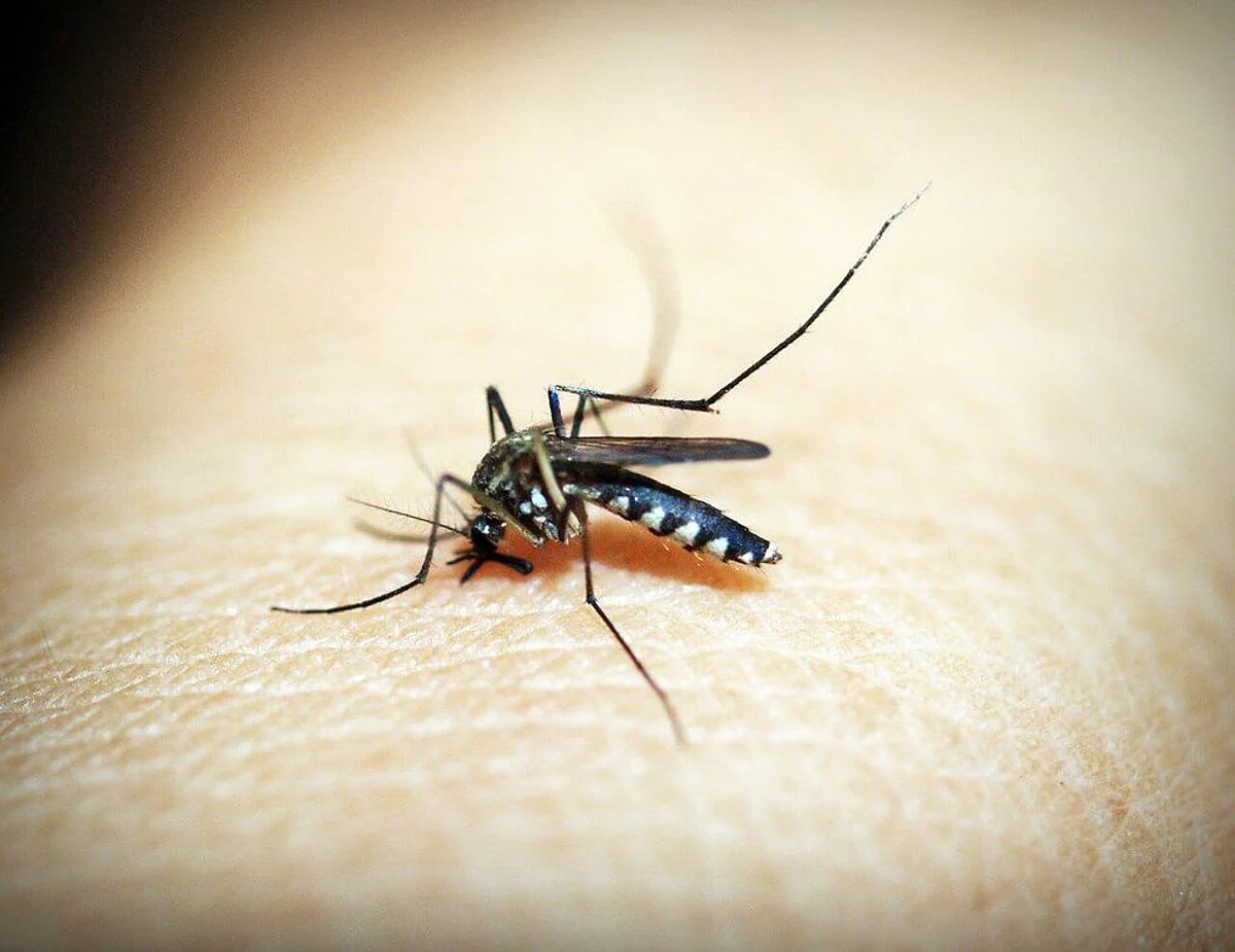 Tata Trusts Announce its Malaria Quest to Search for Innovations towards Eliminating Mosquito-Borne Disease