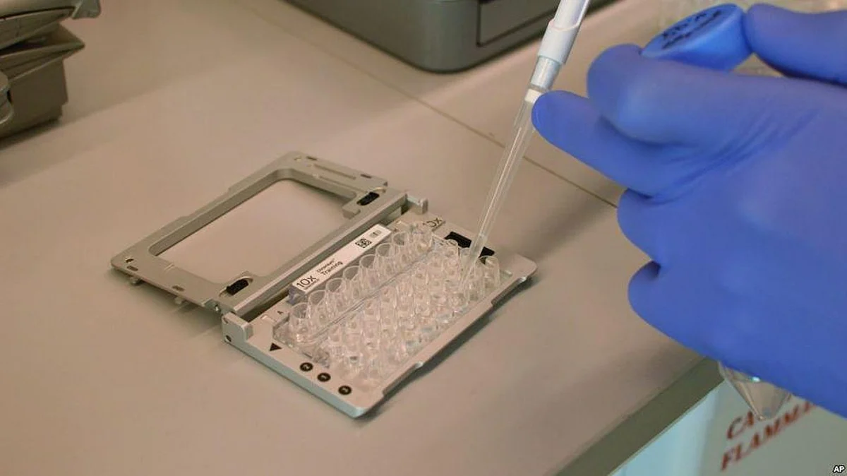 Now Collectively Achieve Complex Tasks: Scientists Develop Robotic System For Medical Use