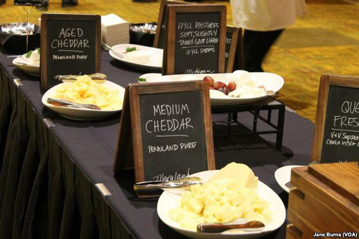 Avoid Cheese Omelettes For a Healthier Heart