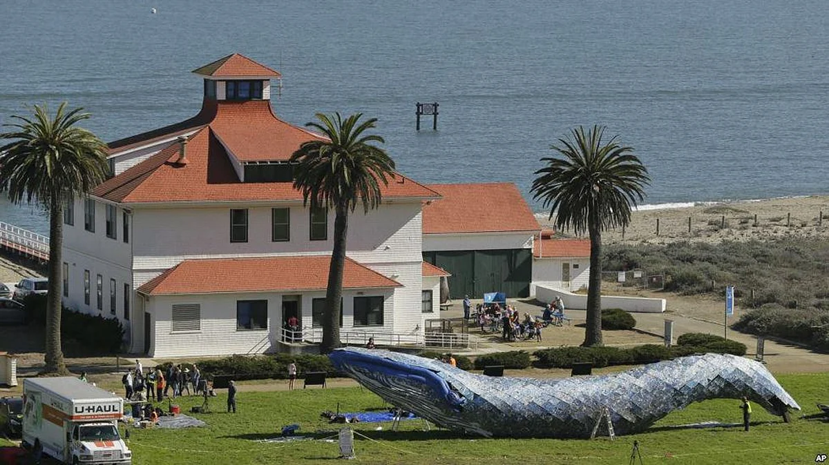 Whale Art To Raise Awareness About Ocean Pollution