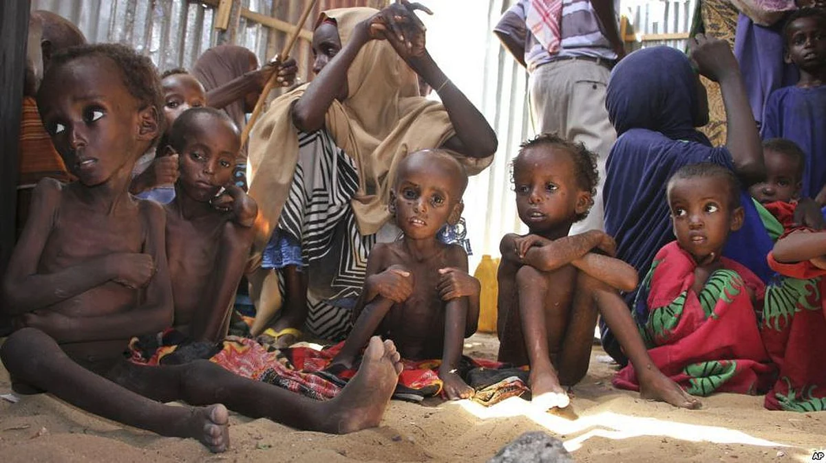 World Hunger To Rise Due To Climate Change: WFP
