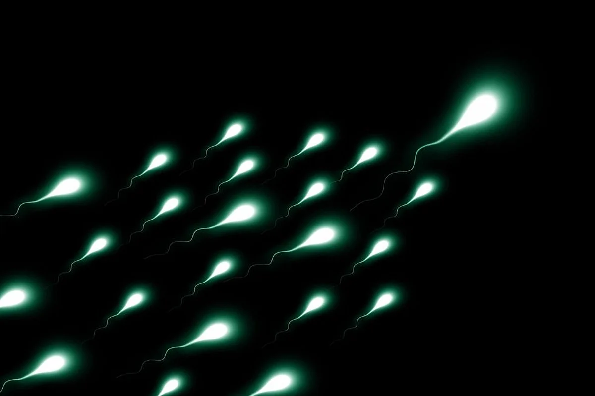 Lifestyle Changes Can Cure Infertility