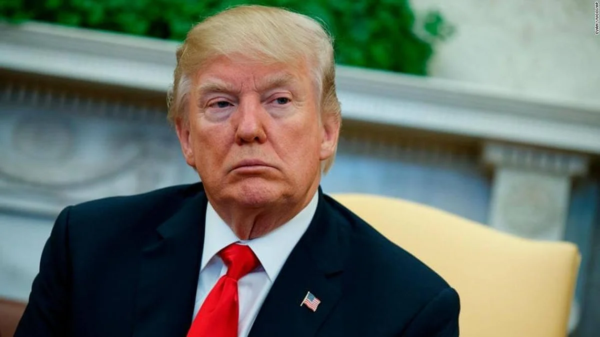 Sapling Planted By Trump And Macron Vanishes