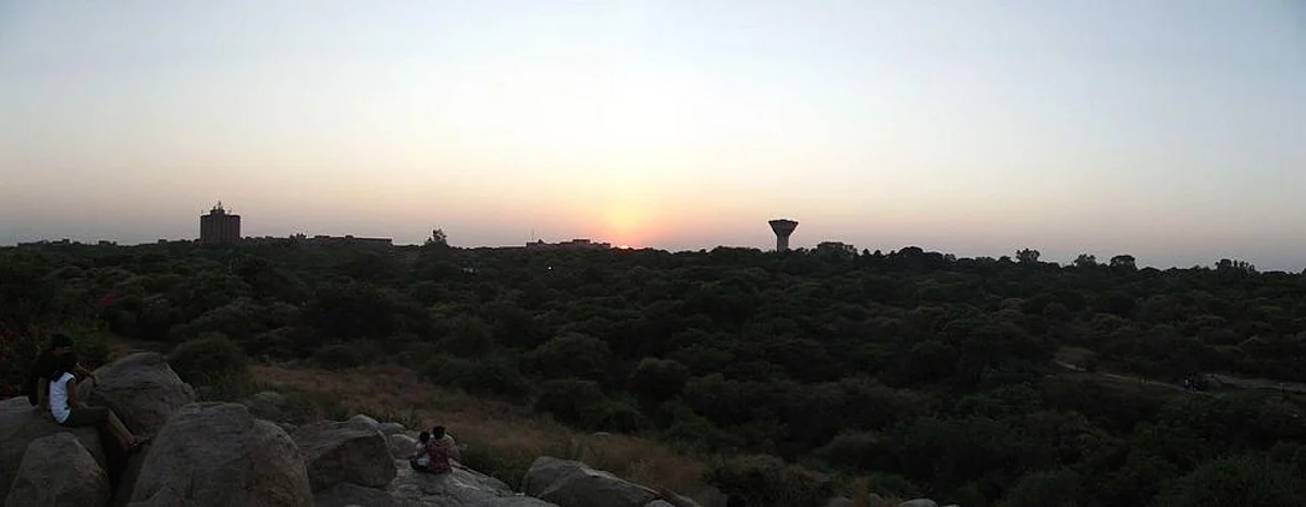 JNU Campus: One Of The Best Places To Learn And Hang Out