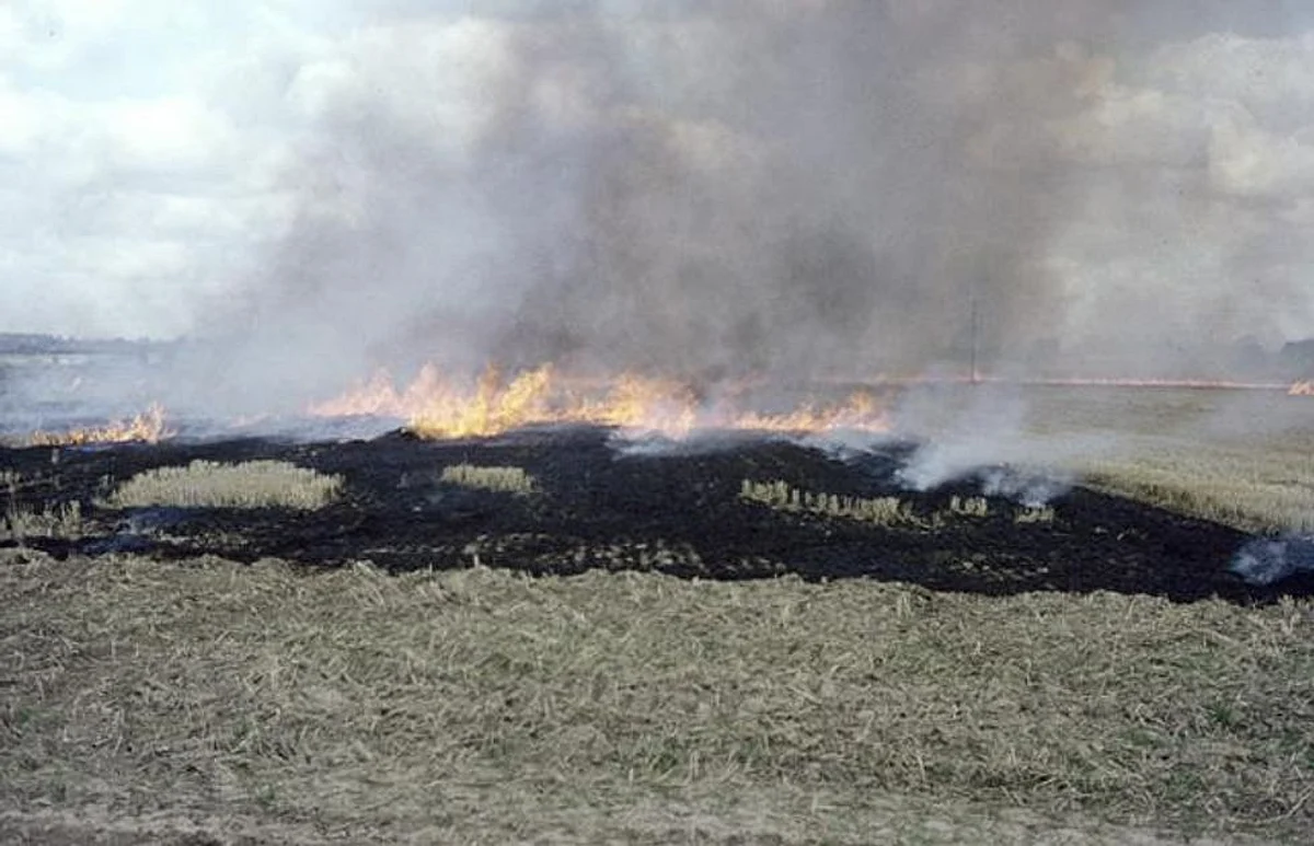 Air Pollution And Its Effects On Our Heath