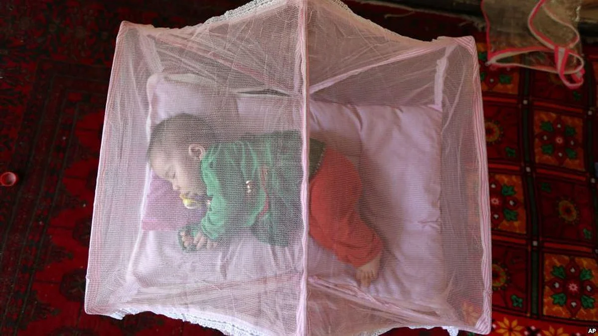 Malaria-carrying Mosquitoes becoming Resistant to Insecticide used in Bed Nets in Southern Africa