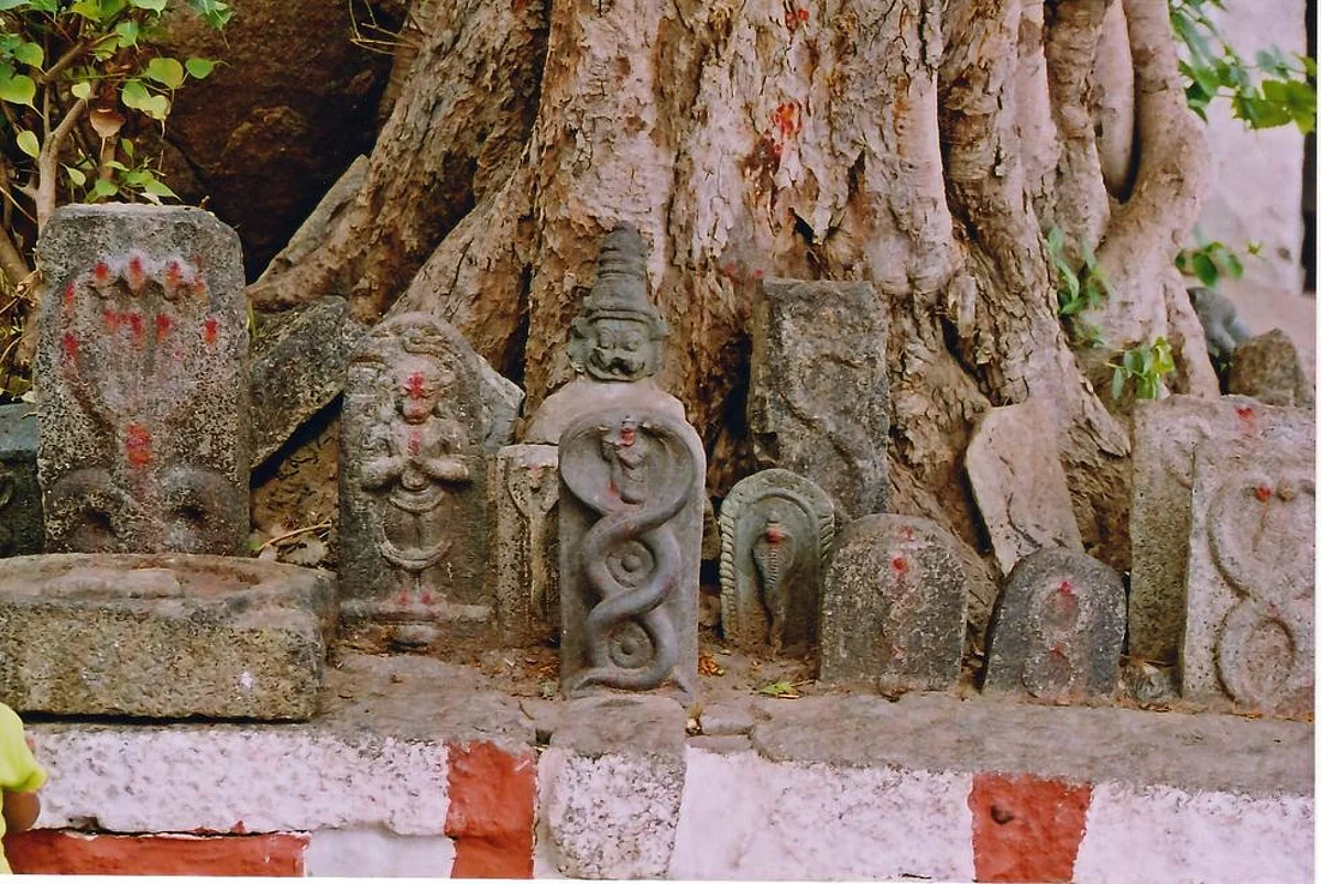 Do Ichhadari Naagins exist for real? Here is what Hindu mythology has to say!