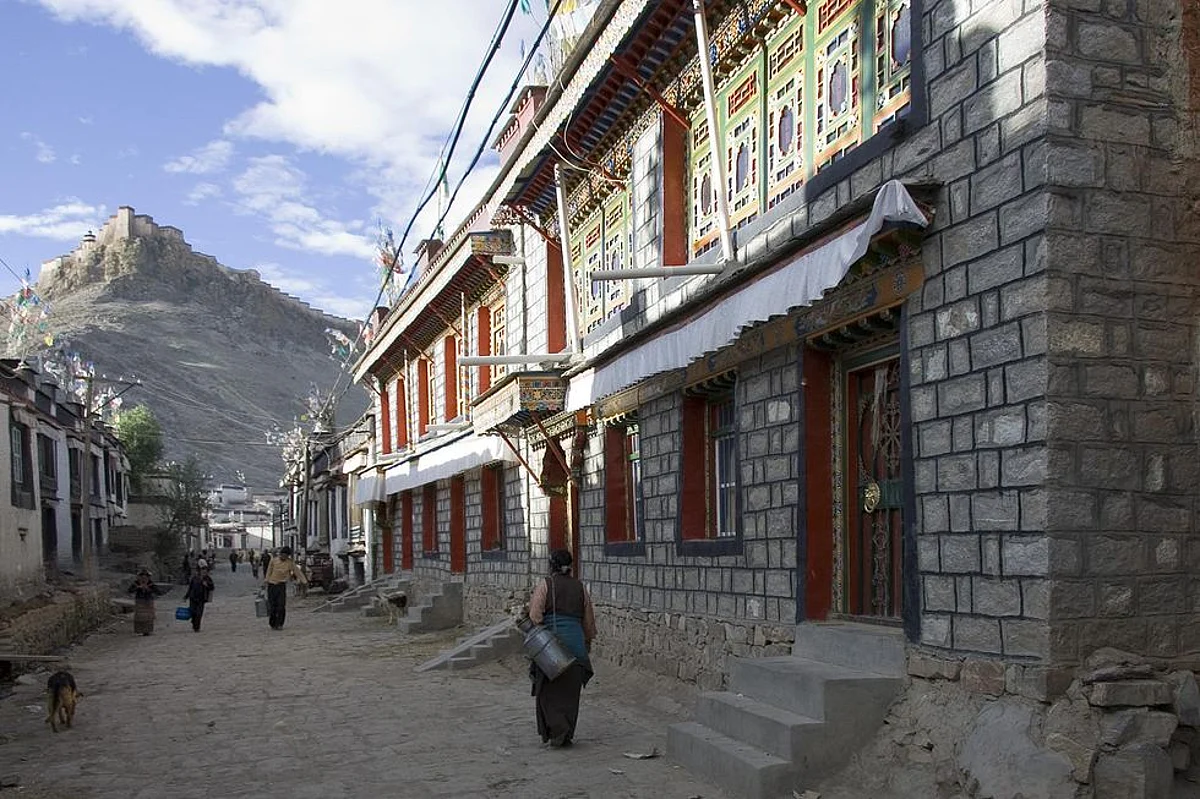 Over the claim of Panda, new debate ensues between Tibet and China