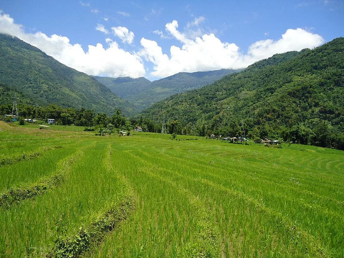 Sikkim showing way in organic agriculture: PM Modi