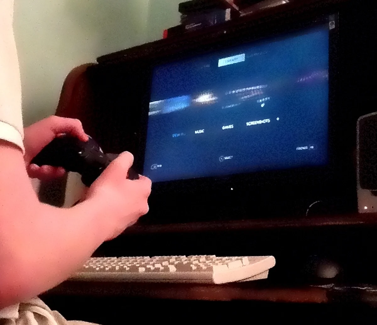 Internet Gaming Disorder एक नई व्यवहारिक लत: विशेषज्ञ