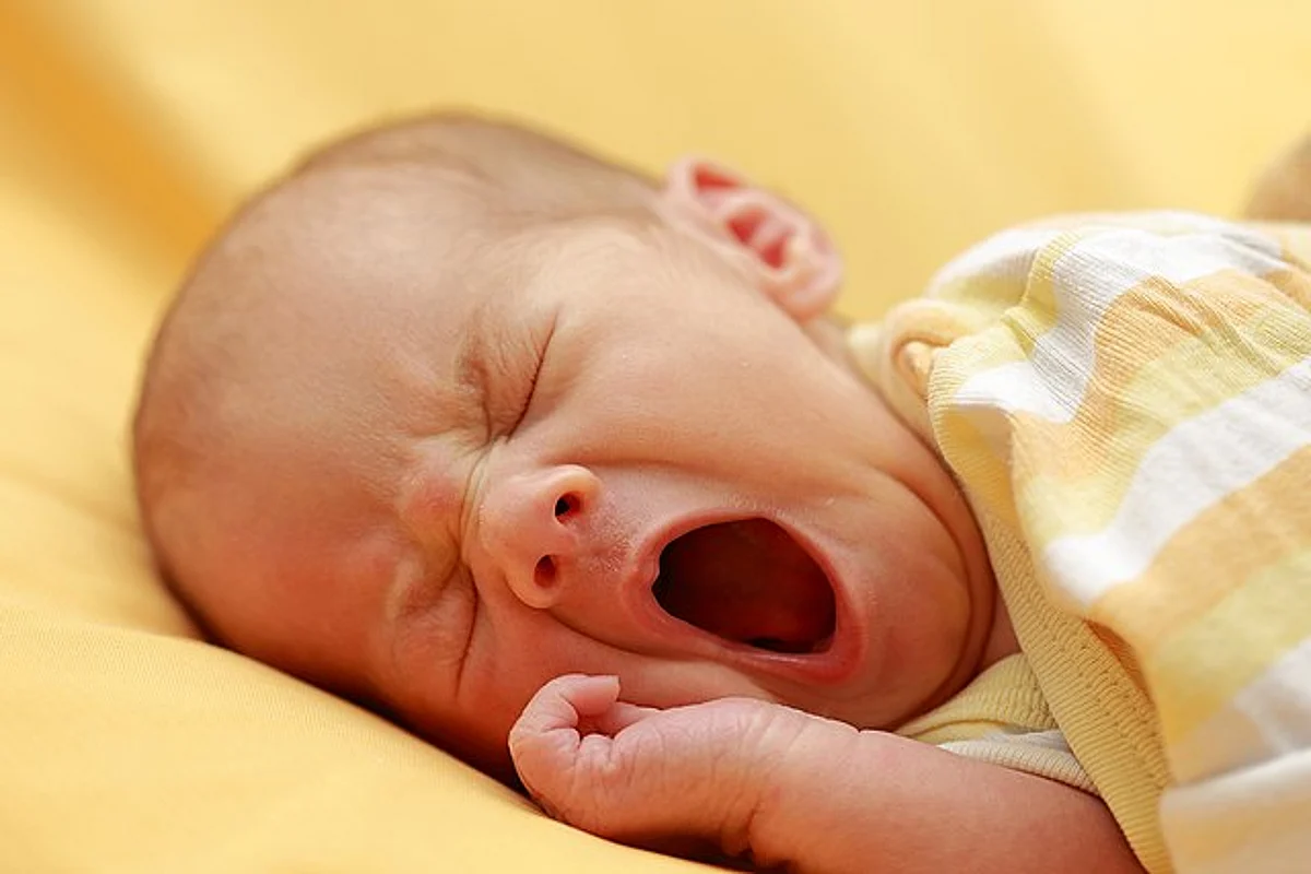 हम जम्हाई (Yawn) क्यों लेते हैं?
