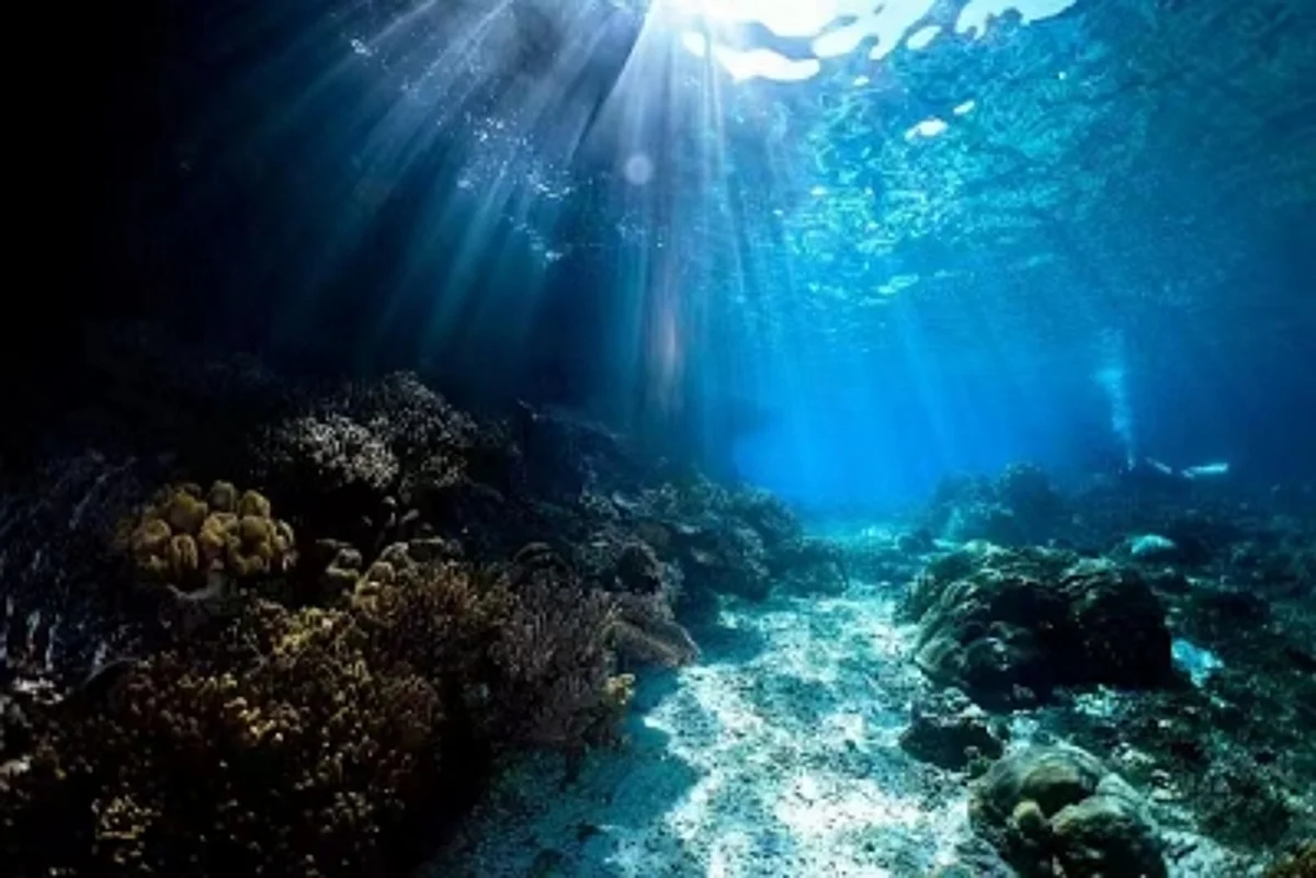 United Nations ने 8 जून को World Oceans Day के रूप में मनाना किया नामित