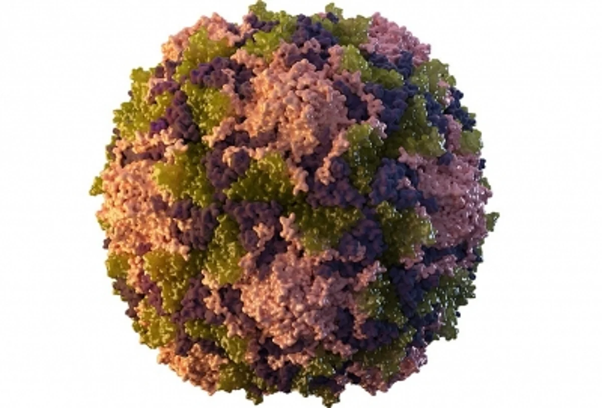ब्रिटेन के स्वास्थ्य अधिकारियों ने लंदन के सीवेज नमूनों में Polio Virus पाया
