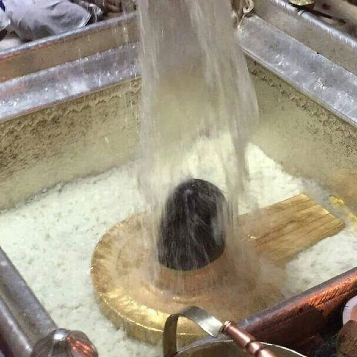 काशी विश्वनाथ धाम की पहली वर्षगांठ