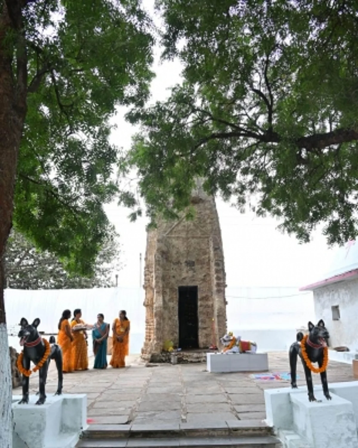 बेजुबान जानवर की समाधि की पूजा, कुकुरदेव मन्दिर एक अनोखी मिसाल