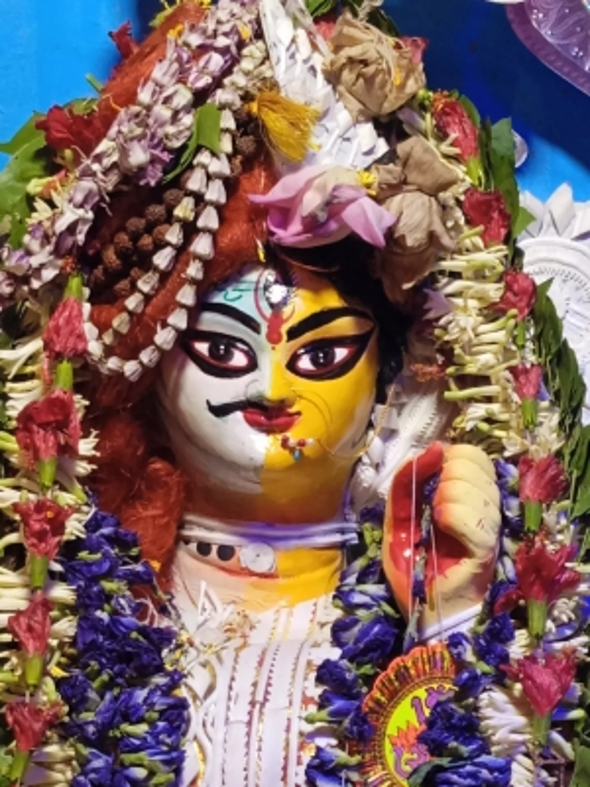 ट्रांसजेंडर समुदाय कर रहा 'अर्धनारीश्वर' के रूप में मां दुर्गा की पूजा