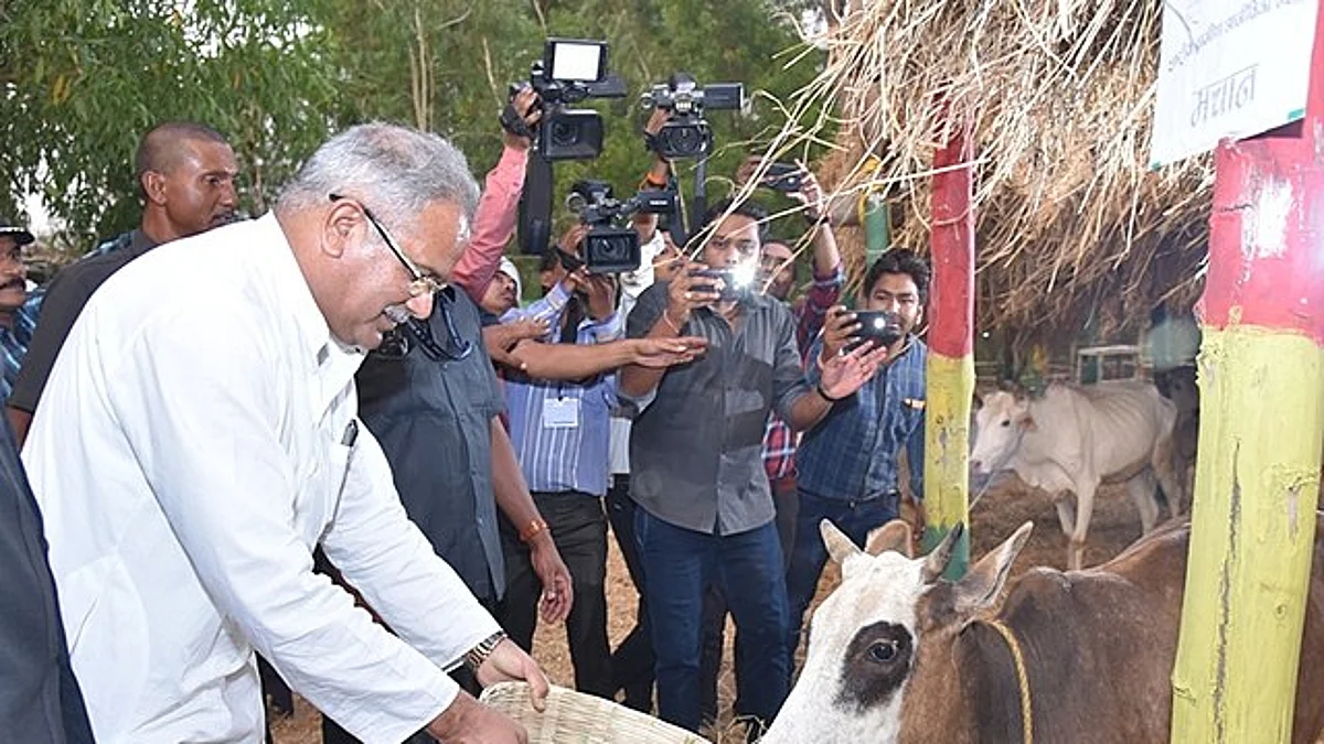मुख्यमंत्री भूपेश बघेल ने खुद अपने हाथ पर सोंटें से प्रहार कराया
