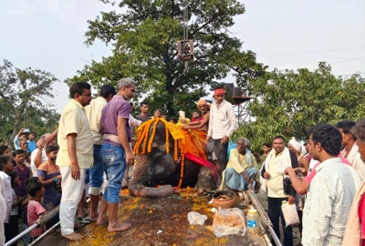 दहेज में मिली हथिनी "अनारकली"