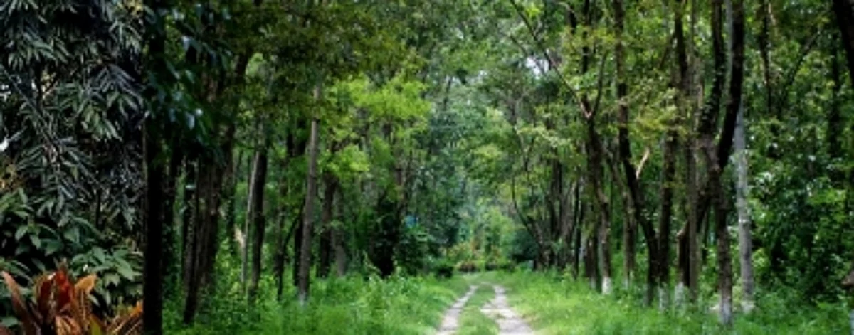 एक वेटलैंड को एक इकोटूरिज्म साइट के रूप में विकसित करने का निर्णय