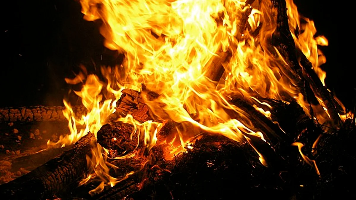 इस वर्ष मकर संक्रांति या पोंगल रविवार 15 जनवरी, 2023 को मनाई जाएगी। (Wikimedia Commons)