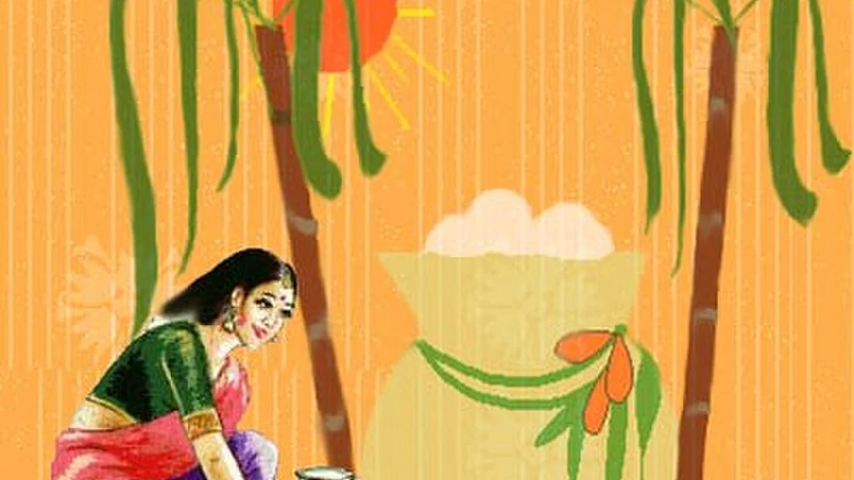 पोंगल ऐसा त्यौहार है जो नयी फसल की तैयारी में मनाया जाता है। (Wikimedia Commons)