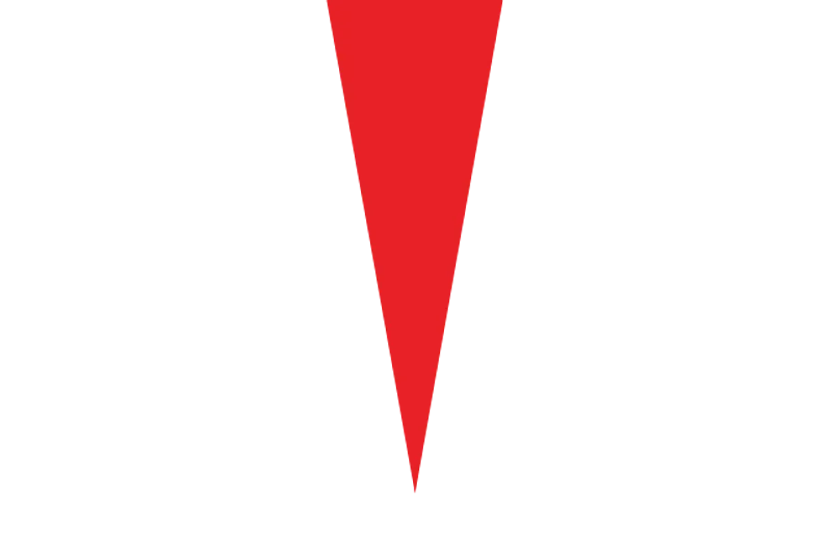 टेस्ला (Wikimedia Commons)