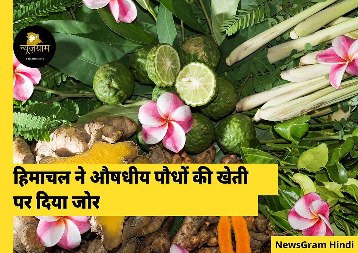 (NewsGram Hindi)
