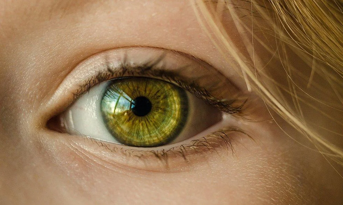 संगीता की आँखों की रौशनी वापस लाने आए समाजसेवी।(सांकेतिक चित्र, Pixabay)
