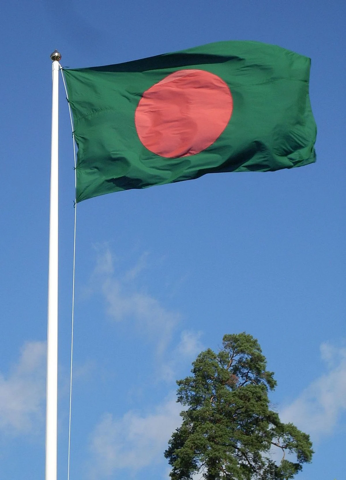 बांग्लादेश का झंडा । (Wikimedia Commons )
